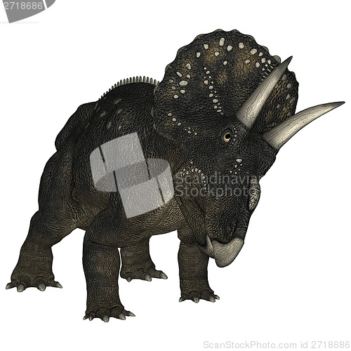 Image of Dinosaur Diceratops