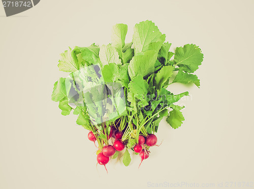 Image of Retro look Radish vegetables