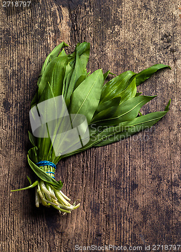 Image of fresh green ramson leaves