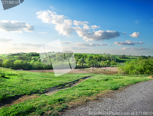 Image of Road and forest