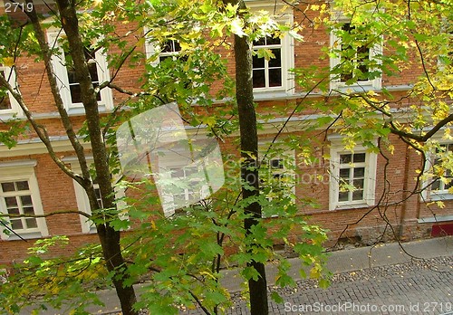 Image of house visible through leaves