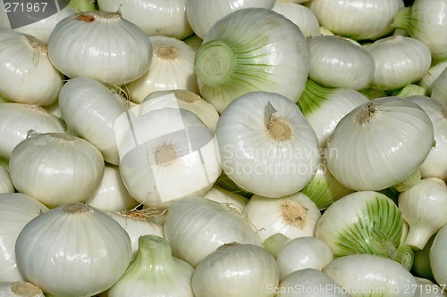 Image of Onion