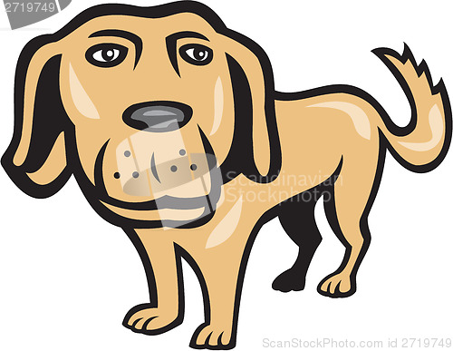 Image of Retriever Dog Big Head Isolated Cartoon