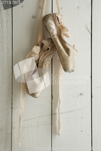 Image of Posed Pointe Shoes in Natural Light 