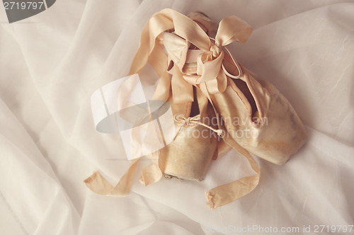 Image of Posed Pointe Shoes in Natural Light 