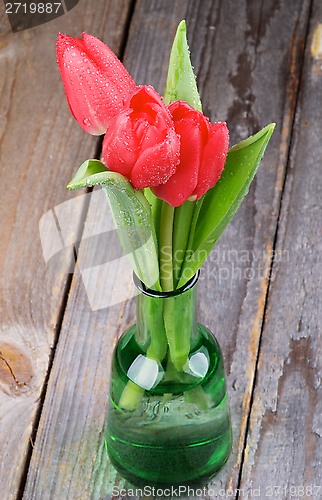 Image of Red Tulips