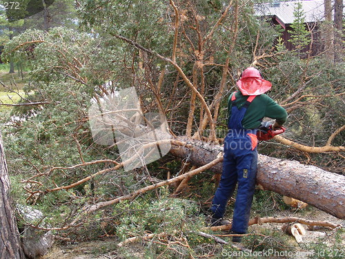 Image of Woodcutter