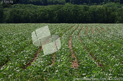 Image of Crop Contour