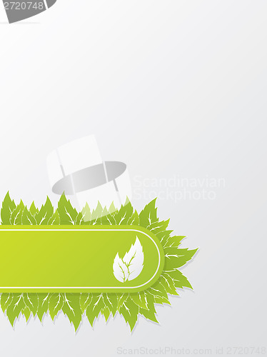 Image of Abstract ecological brochure design with green leaves