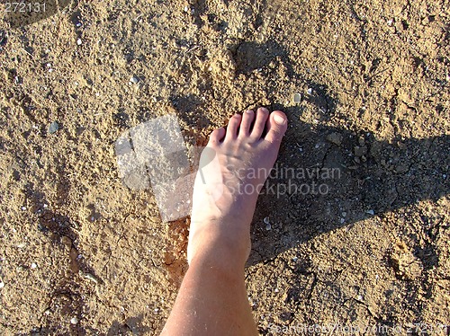 Image of Leg of the person on the dry lifeless ground