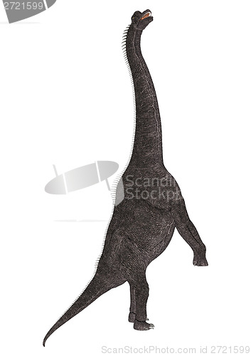 Image of Dinosaur Brachiosaurus