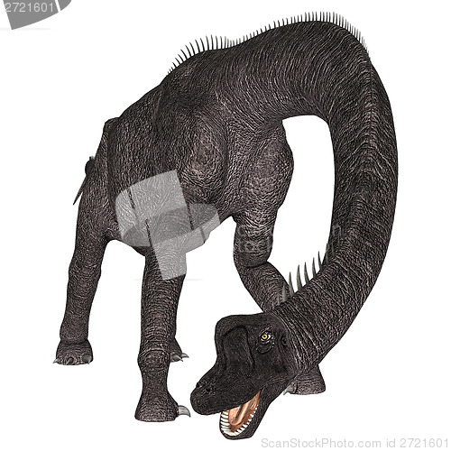 Image of Dinosaur Brachiosaurus