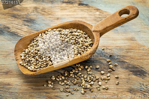 Image of hemp seeds