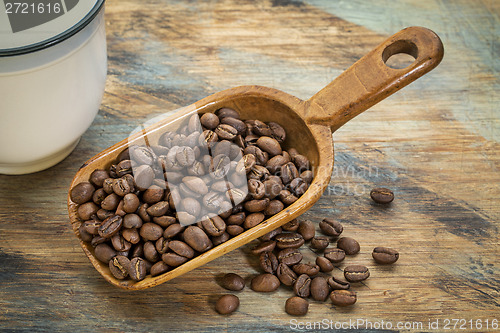 Image of scoop of coffee beans
