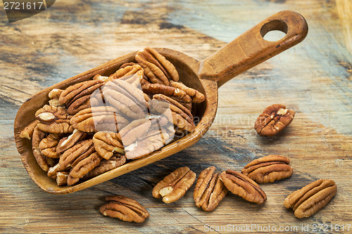 Image of pecan nuts