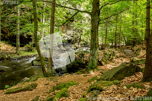 Image of mountain creek doubrava 