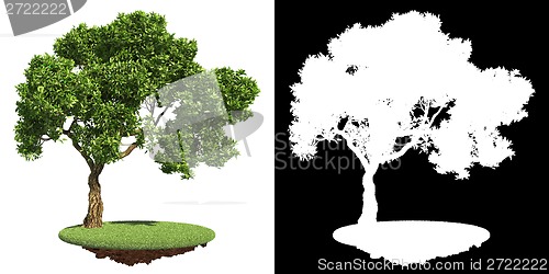 Image of Tree Isolated on White Background.