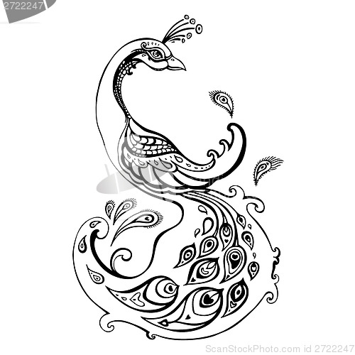 Image of Peacock. Decorative Vector illustration.