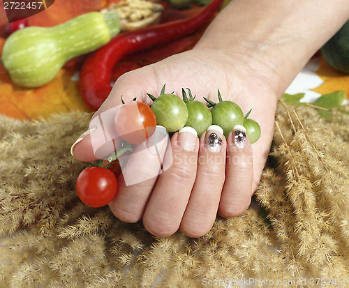 Image of cherry tomatoes and a woman hand