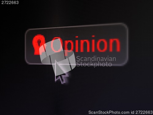 Image of Marketing concept: Opinion and Head With Light Bulb on digital button background