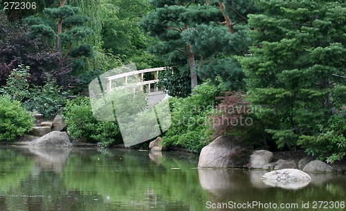 Image of Lush Japanese Garden