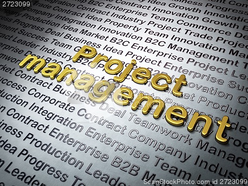 Image of Finance concept: Golden Project Management on Business background