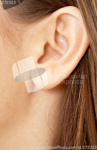 Image of brunette girl ear