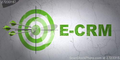 Image of Finance concept: target and E-CRM on wall background
