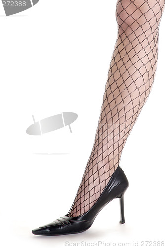 Image of womans leg and net stocking