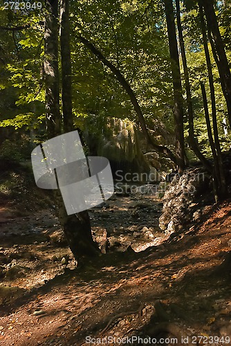 Image of Silver waterfall