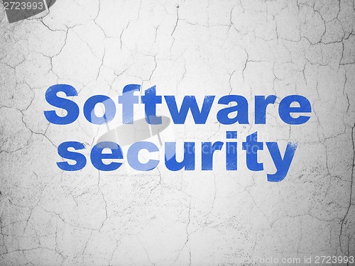 Image of Privacy concept: Software Security on wall background