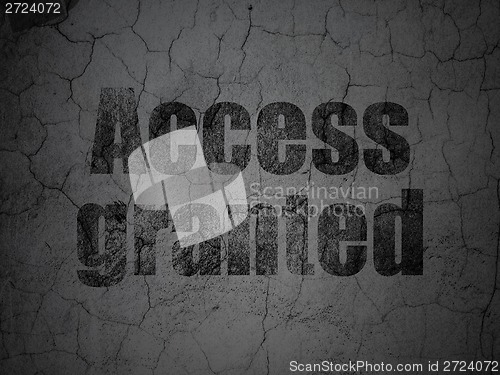 Image of Protection concept: Access Granted on grunge wall background