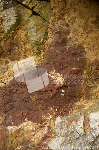 Image of Rock face detail, sand point beach England, uk