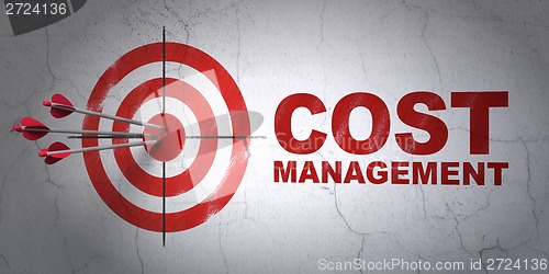 Image of Business concept: target and Cost Management on wall background