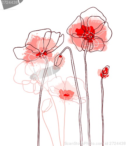 Image of Red poppies on a white background