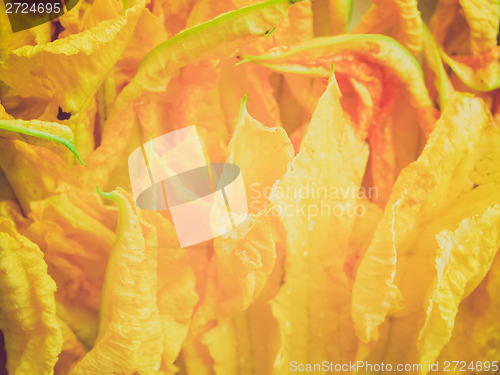 Image of Retro look Courgette flowers