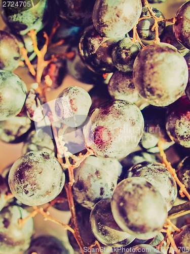 Image of Retro look Grape
