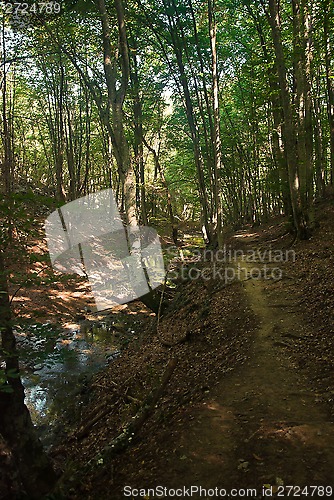 Image of river Sary-Uzeni