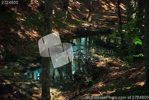 Image of river Sary-Uzeni