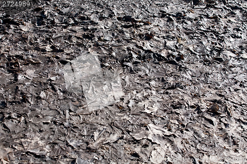 Image of mud rotten leaves pattern