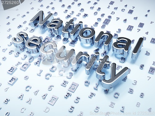 Image of Safety concept: Silver National Security on digital background
