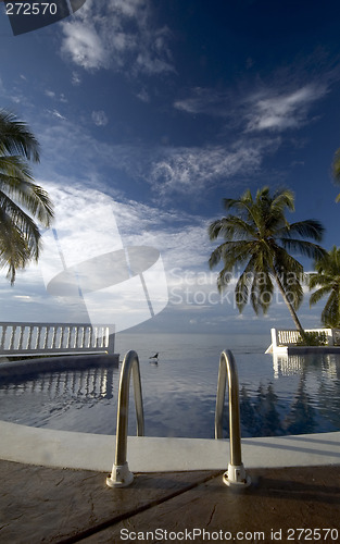 Image of infinty pool caribbean sea