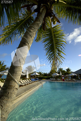 Image of beautiful swimming pool