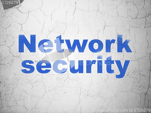 Image of Protection concept: Network Security on wall background