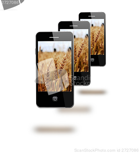 Image of mobile phones with images os fields of wheat