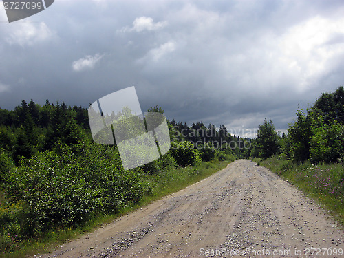 Image of summer landscape with road in the mountains with green forest