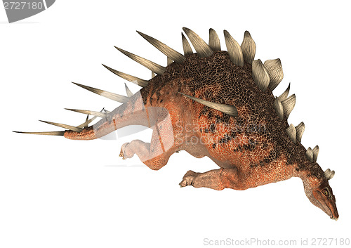 Image of Dinosaur Kentrosaurus