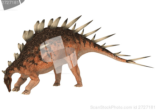 Image of Dinosaur Kentrosaurus