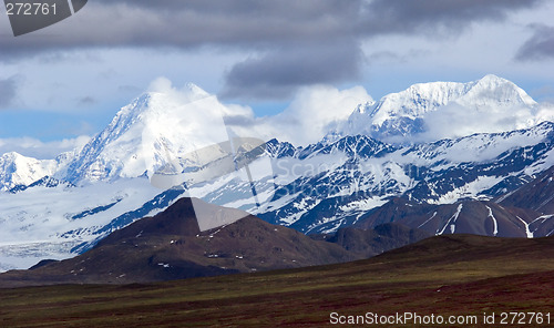 Image of Denali national park