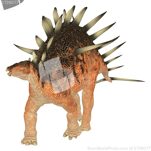 Image of Dinosaur Kentrosaurus